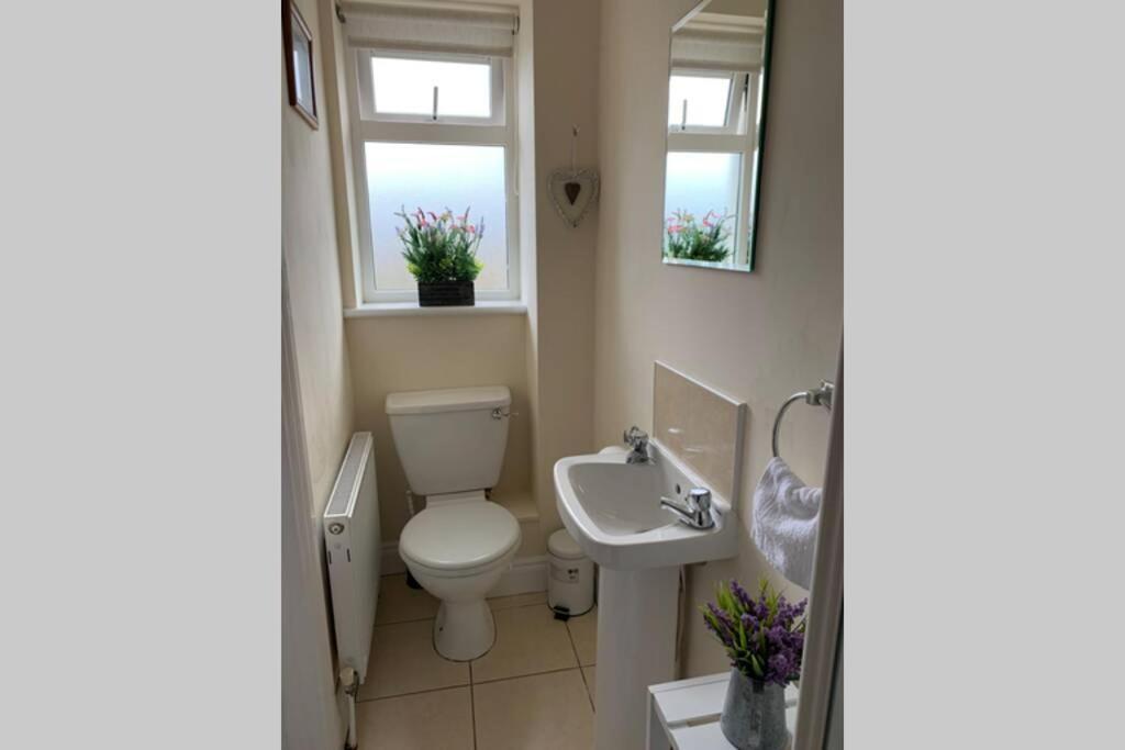 Two Bedroom Town House Beside The River Barrow Карлоу Екстер'єр фото