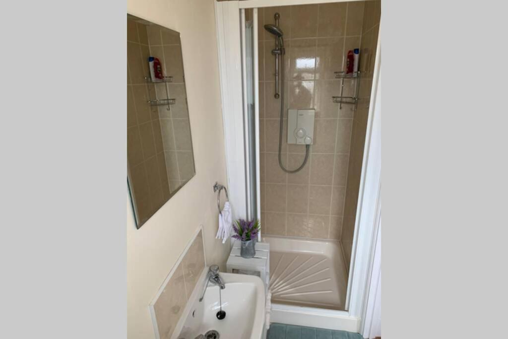 Two Bedroom Town House Beside The River Barrow Карлоу Екстер'єр фото
