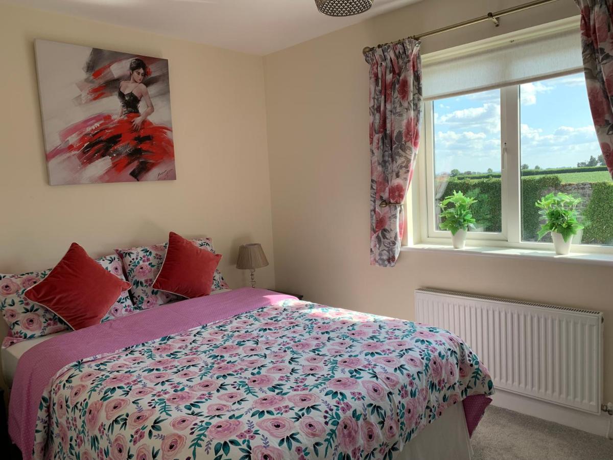 Two Bedroom Town House Beside The River Barrow Карлоу Екстер'єр фото