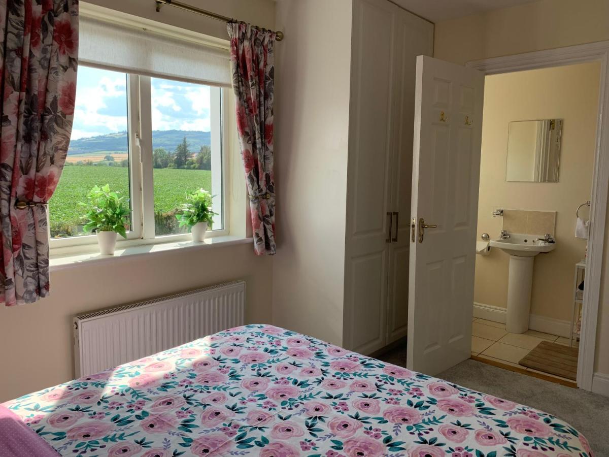 Two Bedroom Town House Beside The River Barrow Карлоу Екстер'єр фото
